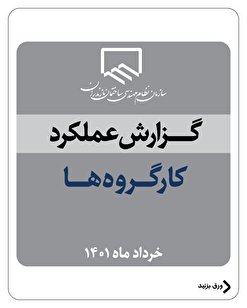 گزارش عملکرد کارگرو ها - خرداد۱۴۰۱